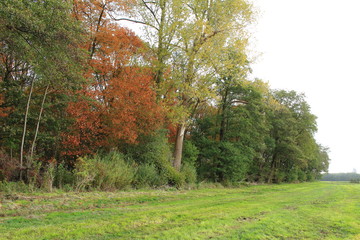 Herbstliche Landschaft