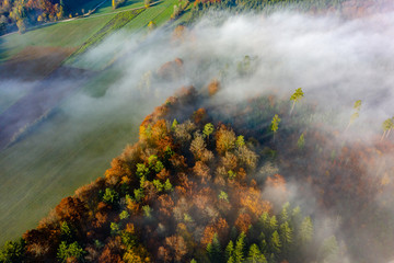 Morgennebel - Sonnenaufgang Neufra