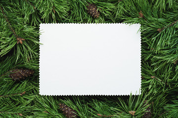 Christmas frame with fir branches and a white paper sheet
