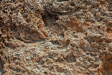 Background, limestone texture, stone shell.