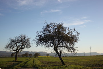 Sonnenuntergang auf Kusterdingen