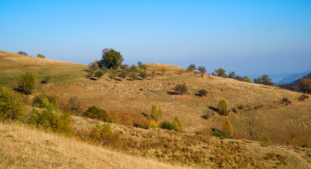 hills in the fall season, Fantanele village, Sibiu county, Romania