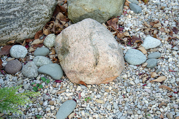 wall texture photo, pebble background ,pebble floor in the garden,