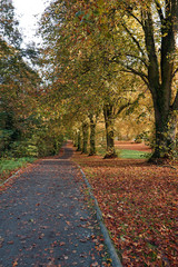 Naklejka premium Autumn Path
