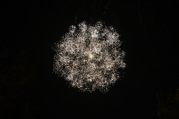 Fireworks pyrotechnics