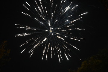 Fireworks pyrotechnics