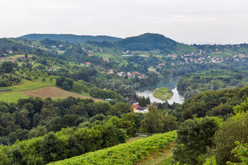 Fototapeta na wymiar Summer landscape with Drava River, Slovenia.