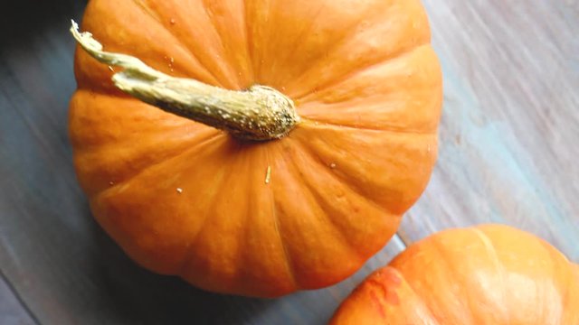 group of pumpkins of different sizes. very small pumpkin, small pumpkin, normal pumpkin, large pumpkin. view from above