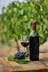 Still life of a red wine bottle, glass and grape strain