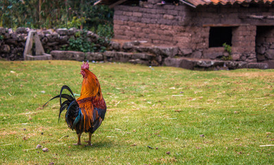 Landscape in Julcán, Perú