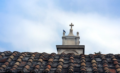Naklejka premium Pidgeon on top of a building resting. Cross in a tower in Greece.