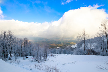 Snowy Hillside Landscape