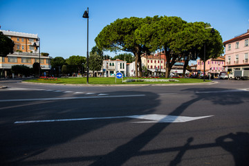 Roundabout with decorative flowers in the center of the city