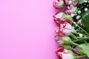 Red-white roses with beads on a pink background. Copyspace