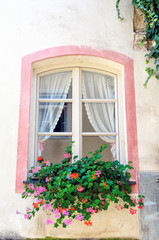 A beautiful pink framed window with lace curtains shows flowers in a planter box.