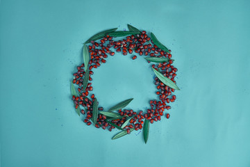 pomegranate grains forming a circle on blue background