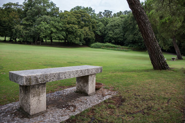 Stone bench in a park with forest in the background