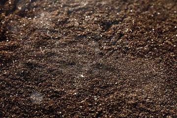 Dirt.