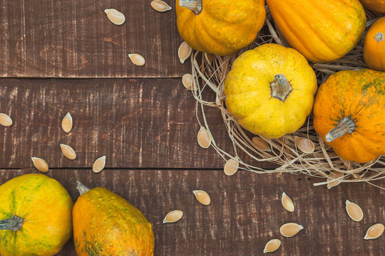 Autumn background with pumpkins