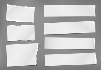 Set of torn white note, notebook paper strips and pieces with soft shadow stuck on grey background. Vector illustration