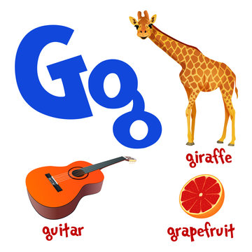 Vector cute kids cartoon alphabet. Letter G with teddy giraffee, guitar and grapefruit.
