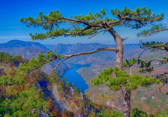 View on river and mountains from viewpoint