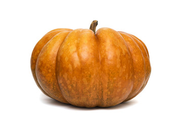 Single fresh orange pumpkin isolated on white background. Pumpkin isolated on a white background