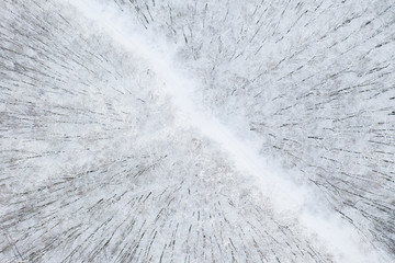 Aerial view of  Winter forest and the road. Winter landscape