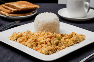 eggs with onion, tomato, chocolate, bread and rice (Colombian parrots)