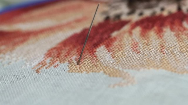 Woman hands doing cross-stitch of red flower. A close up of embroidery.