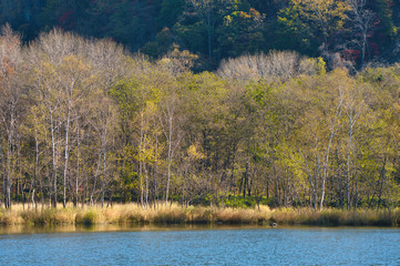 紅葉と湖