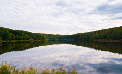 Sky reflection in water with trees