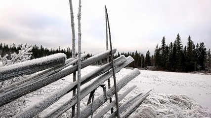 wooden fence in winter