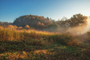 nature park in fall colors, autumn landscape in October