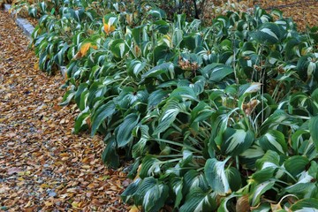 Jesień _ 10 © Arkadiusz