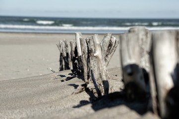 branchs on beach 