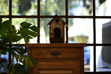 vintage wooden bird house and monstera