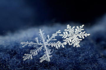 Macro photo of beautiful snowflakes