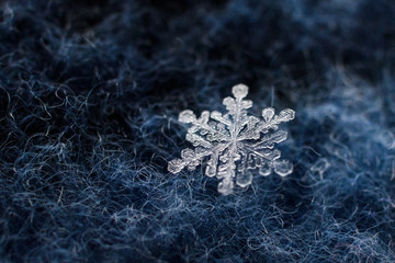 Macro photo of beautiful snowflakes