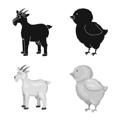 Vector illustration of breeding and kitchen logo. Collection of breeding and organic vector icon for stock.