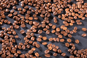 Brown roasted coffee beans - Coffea