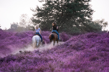 Reiter von Hintem im Galopp während eines Ausritt in der Heide