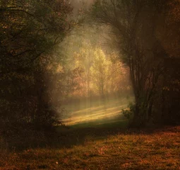  nature park in fall colors, autumn landscape in October © Amir Bajric