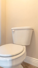 Obraz na płótnie Canvas Vertical White toilet and cistern in a bathroom