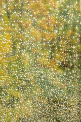 Rain drops on autumn window after a heavy rain. Sunny day