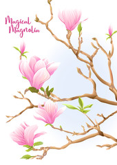 Magnolia tree branch with flowers. Template for wedding invitation, greeting card, banner, gift voucher, label. Colored vector illustration. Isolated on white background..