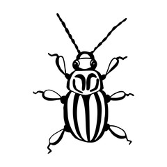 Hand drawn vector beetles. Black and white insects for design, icons, logo or print. Drawn with dots. Great illustration for Halloween.