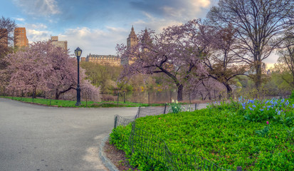 Central Park in spring
