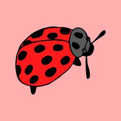 Fototapeta premium Hand drawn vector beetles. Black and white insects for design, icons, logo or print. Drawn with dots. Great illustration for Halloween.