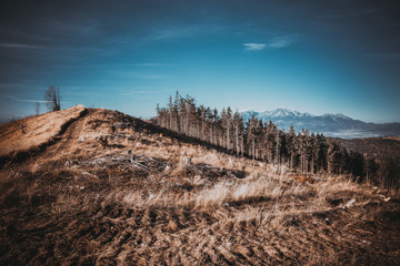 Autumn tourist trail in the Levoca Mountains with a beautiful view of the Slovak Tatras. Morning on the mountain trail. Mountain landscape. Filter with warm saturated colors.